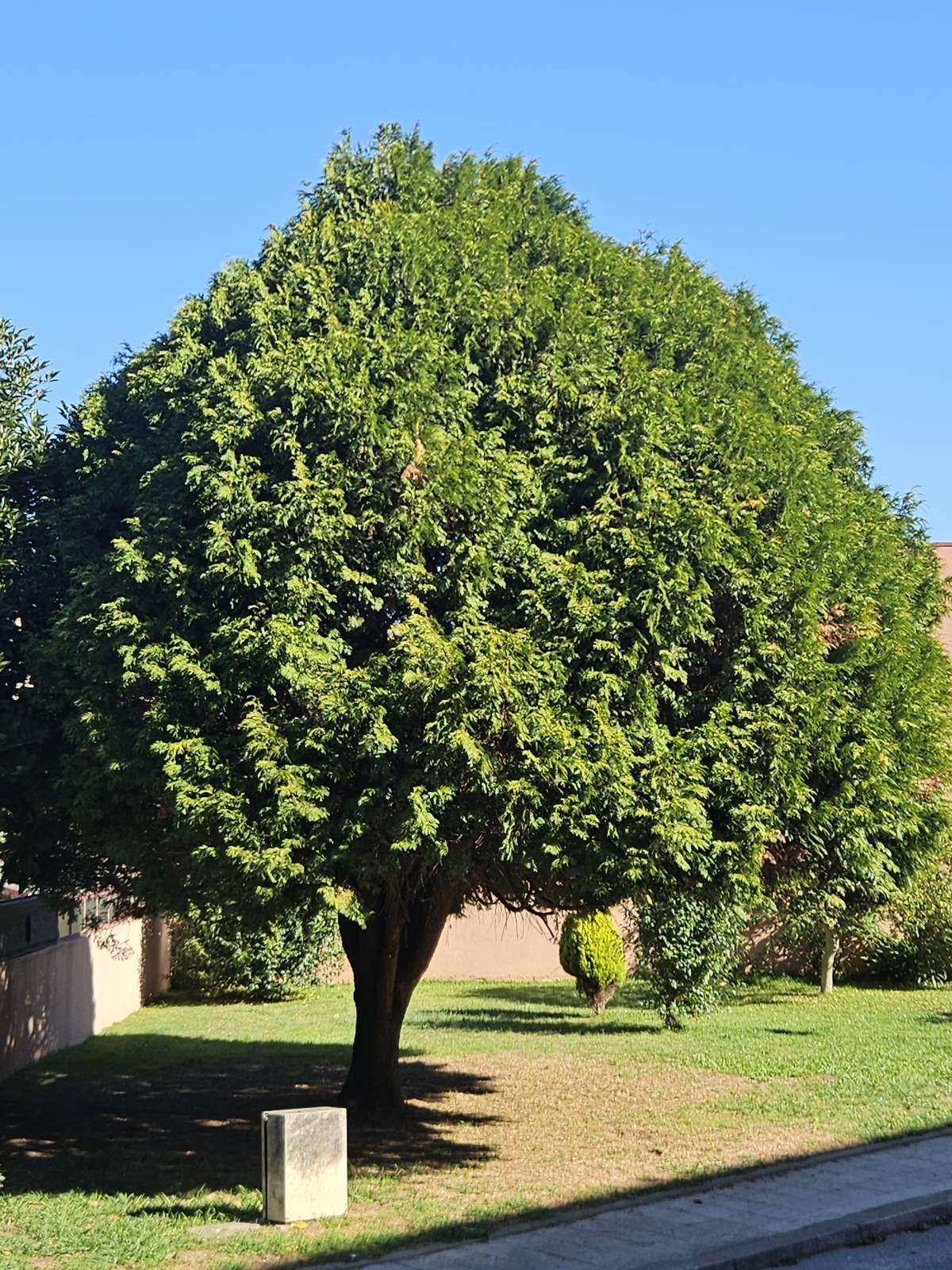 Rui Albuquerque - Matosinhos - Cars and motorcycles repair