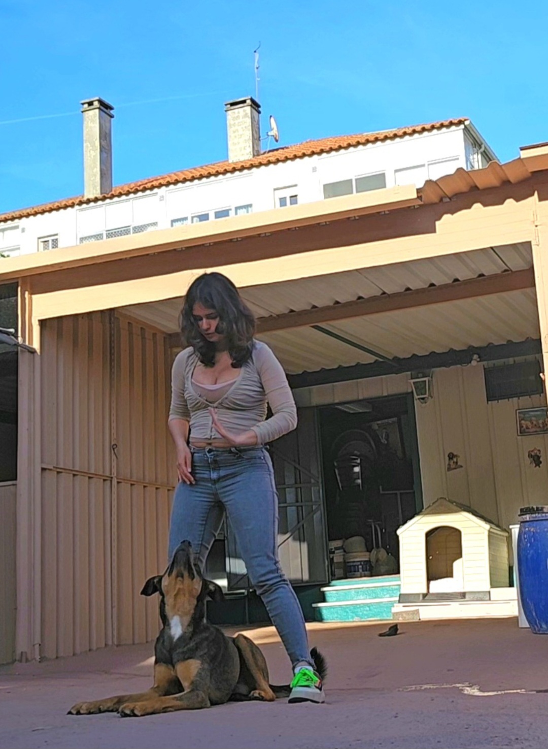 Andreia Galante - PetSitter/DogWalker - Sintra - Pension pour chiens