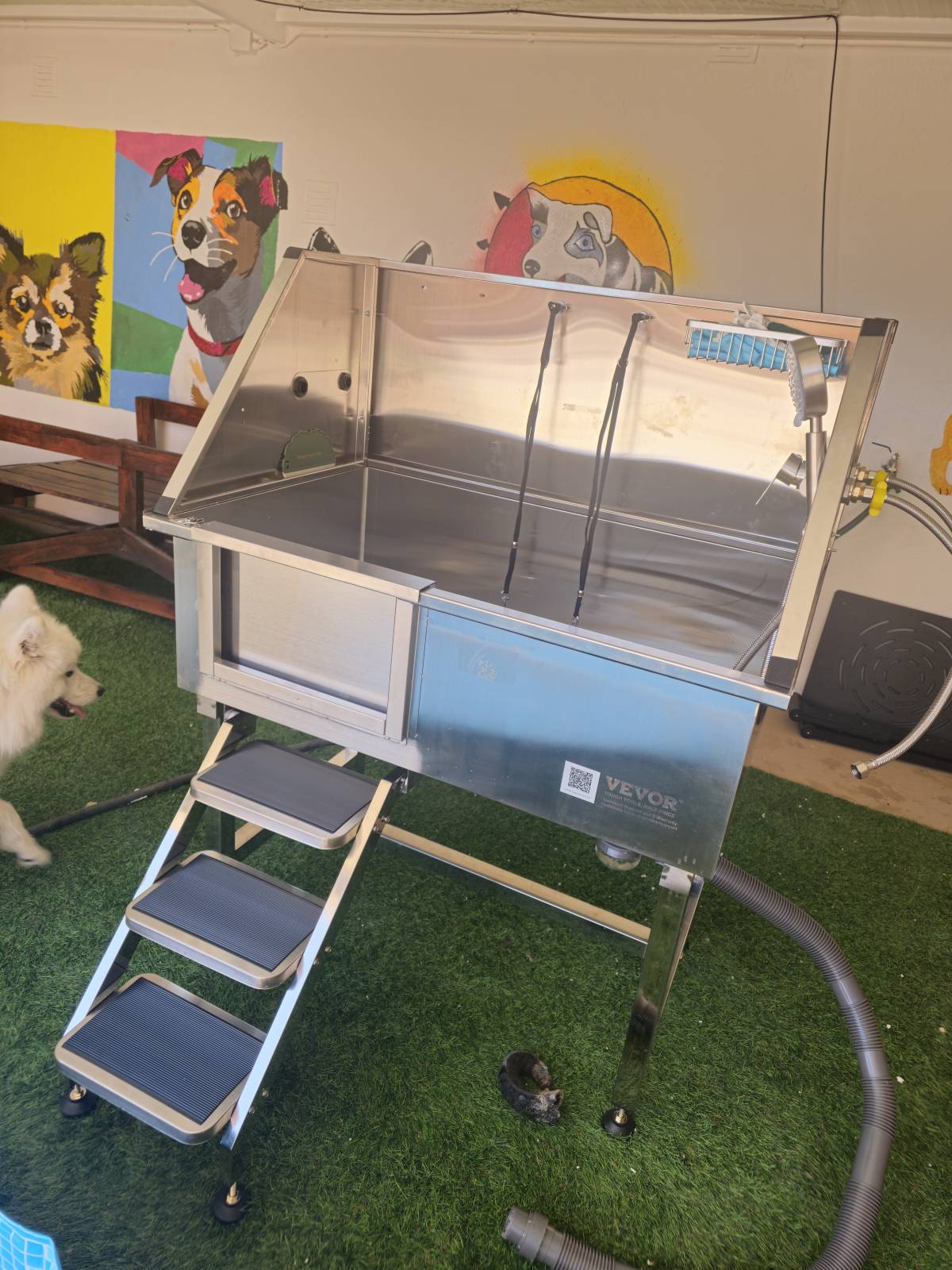 Andreia Galante - PetSitter/DogWalker - Sintra - Pension pour chiens