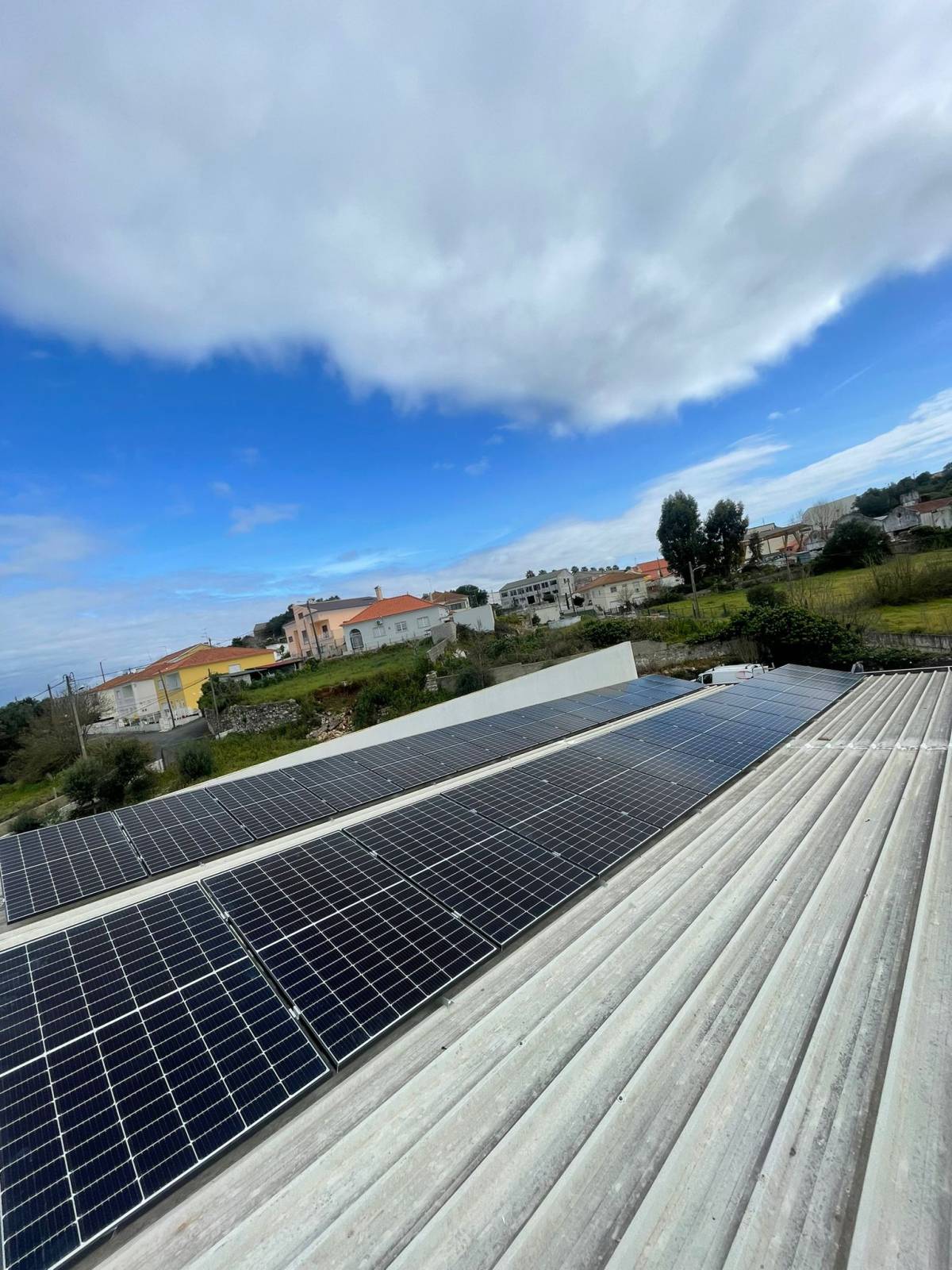 Miguel - Sintra - Energias Renováveis e Sustentabilidade