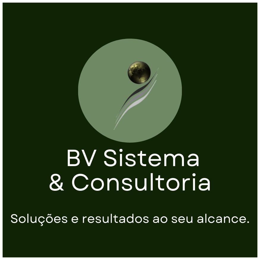 BV Sistema & Consultoria - Figueira da Foz - Financial Services and Planning