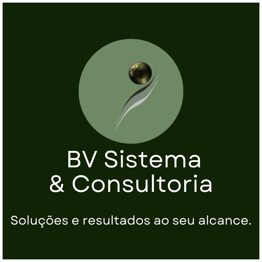 BV Sistema & Consultoria - Figueira da Foz - Profissionais Financeiros e de Planeamento