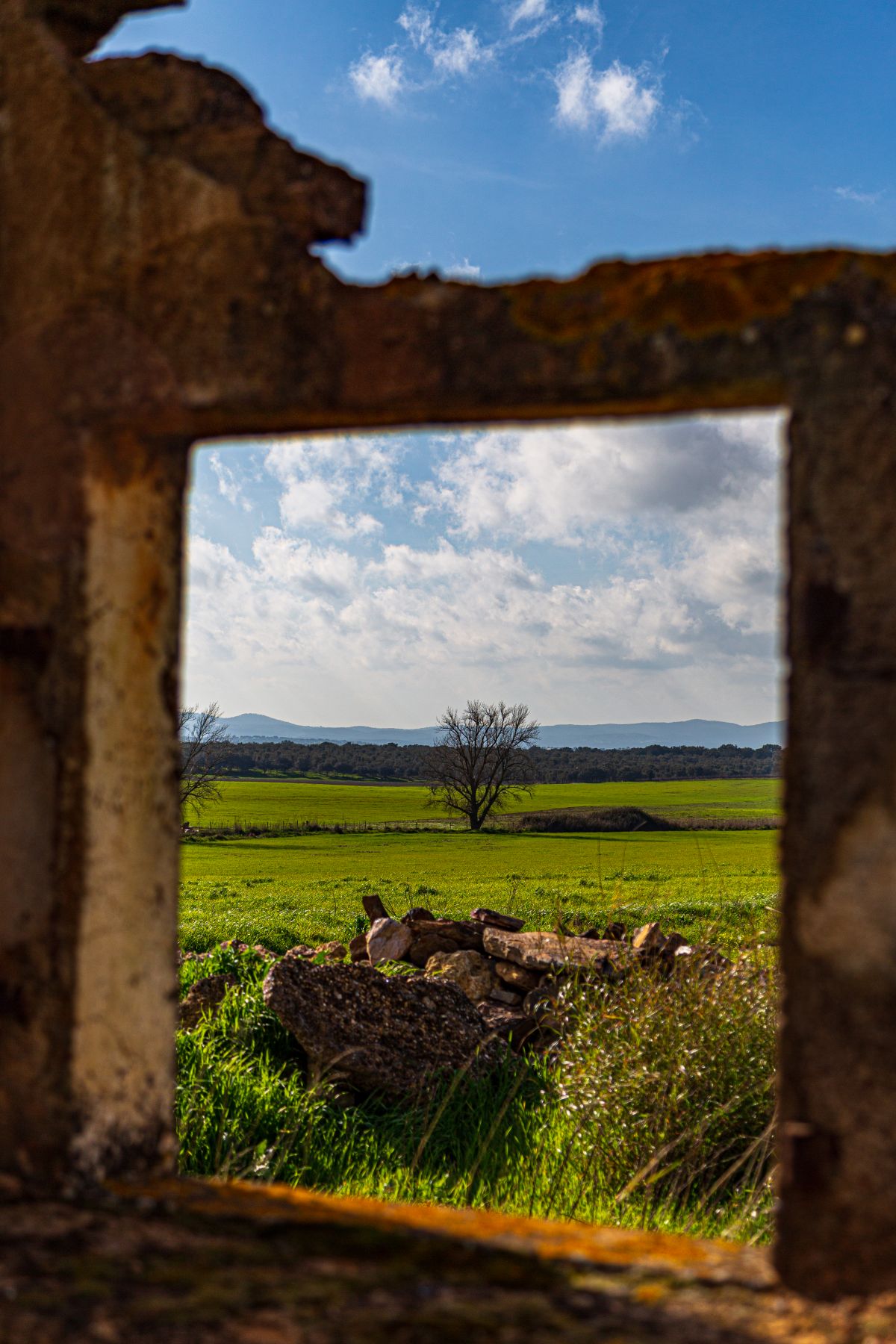 Pedro Manuel Ramalho Perdigão - Estremoz - Restauración de fotografías