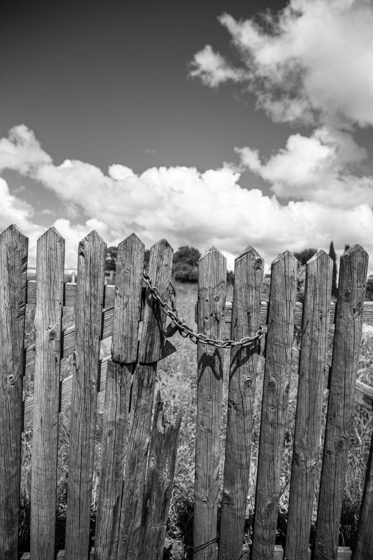 Pedro Manuel Ramalho Perdigão - Estremoz - Sesión fotográfica
