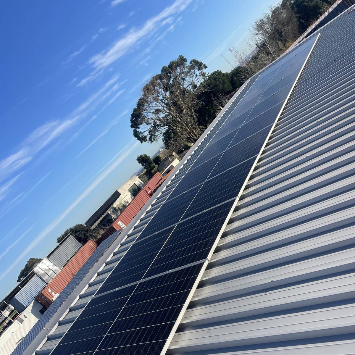 Miguel - Sintra - Energias Renováveis e Sustentabilidade
