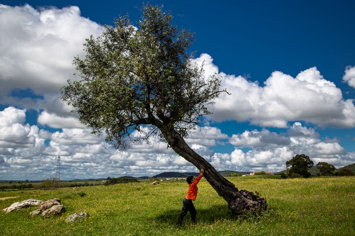 Pedro Manuel Ramalho Perdigão - Estremoz - Fotografía