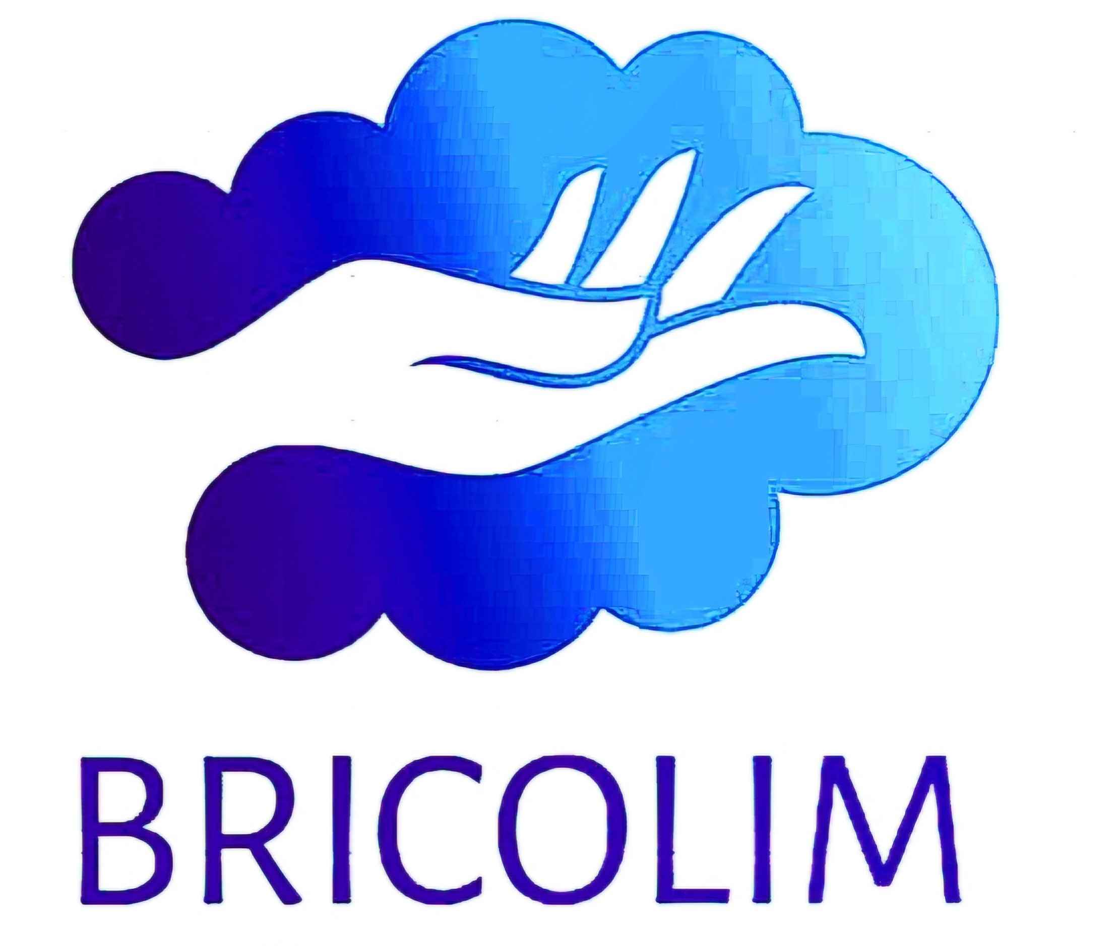 Bricolim Centro - Leiria - Limpeza a Fundo