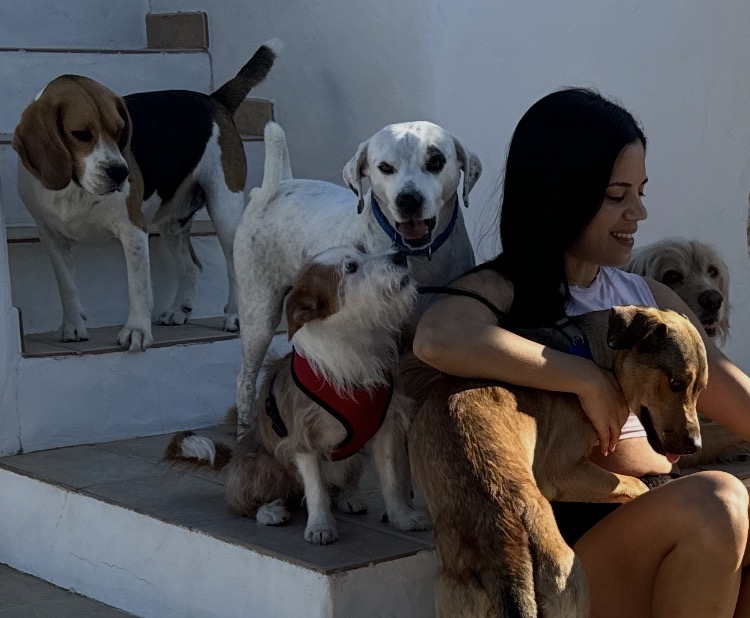 Pet Boutique Hotel - Setúbal - Hospedaje de gatos