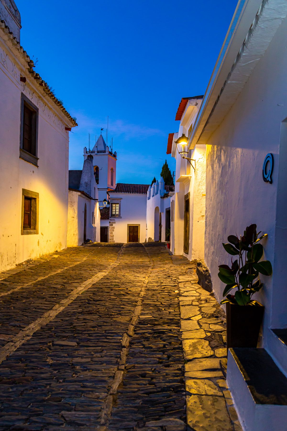 Pedro Manuel Ramalho Perdigão - Estremoz - Fotografía de mascotas