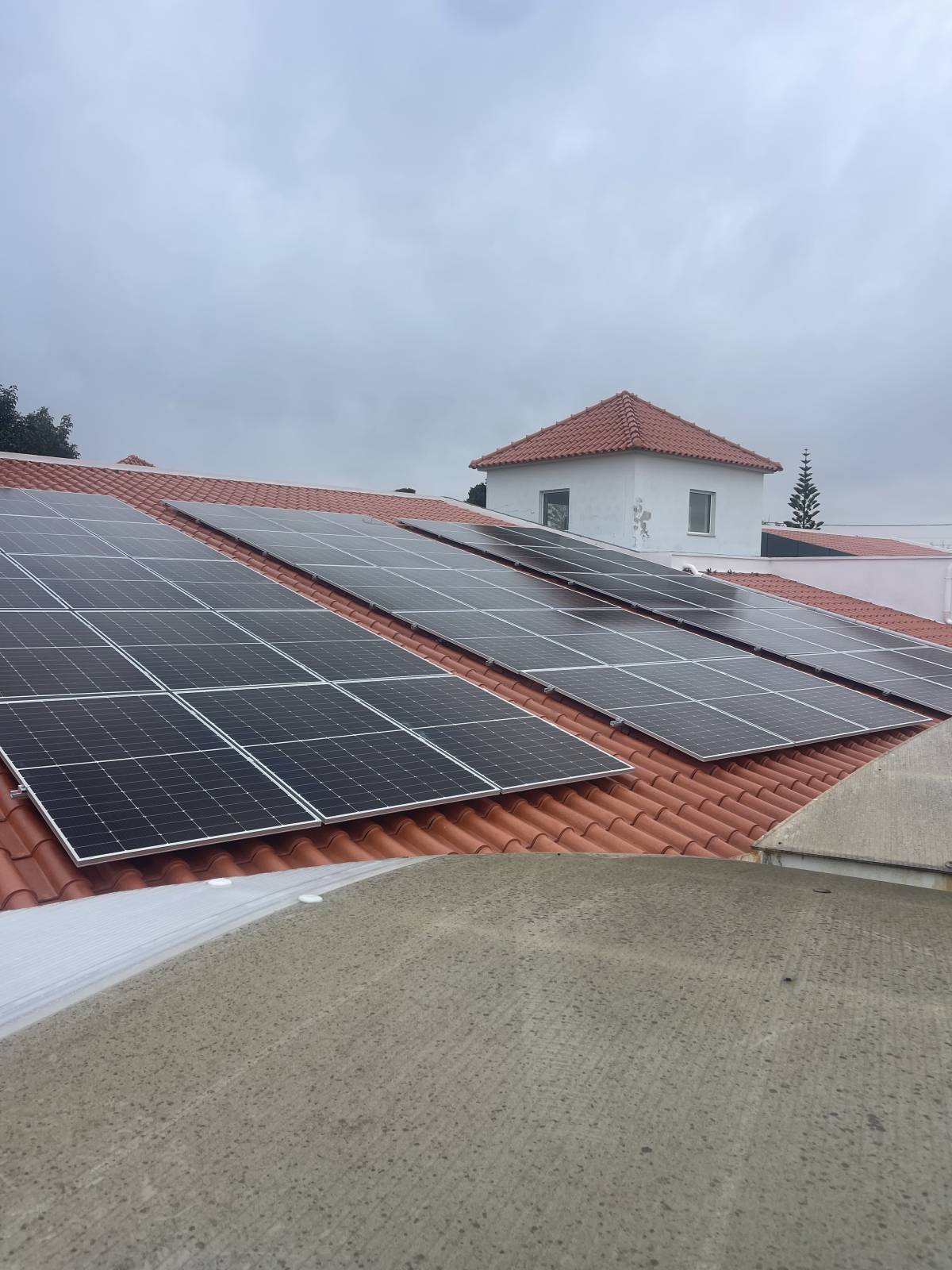 Miguel - Sintra - Consultoria em Sustentabilidade