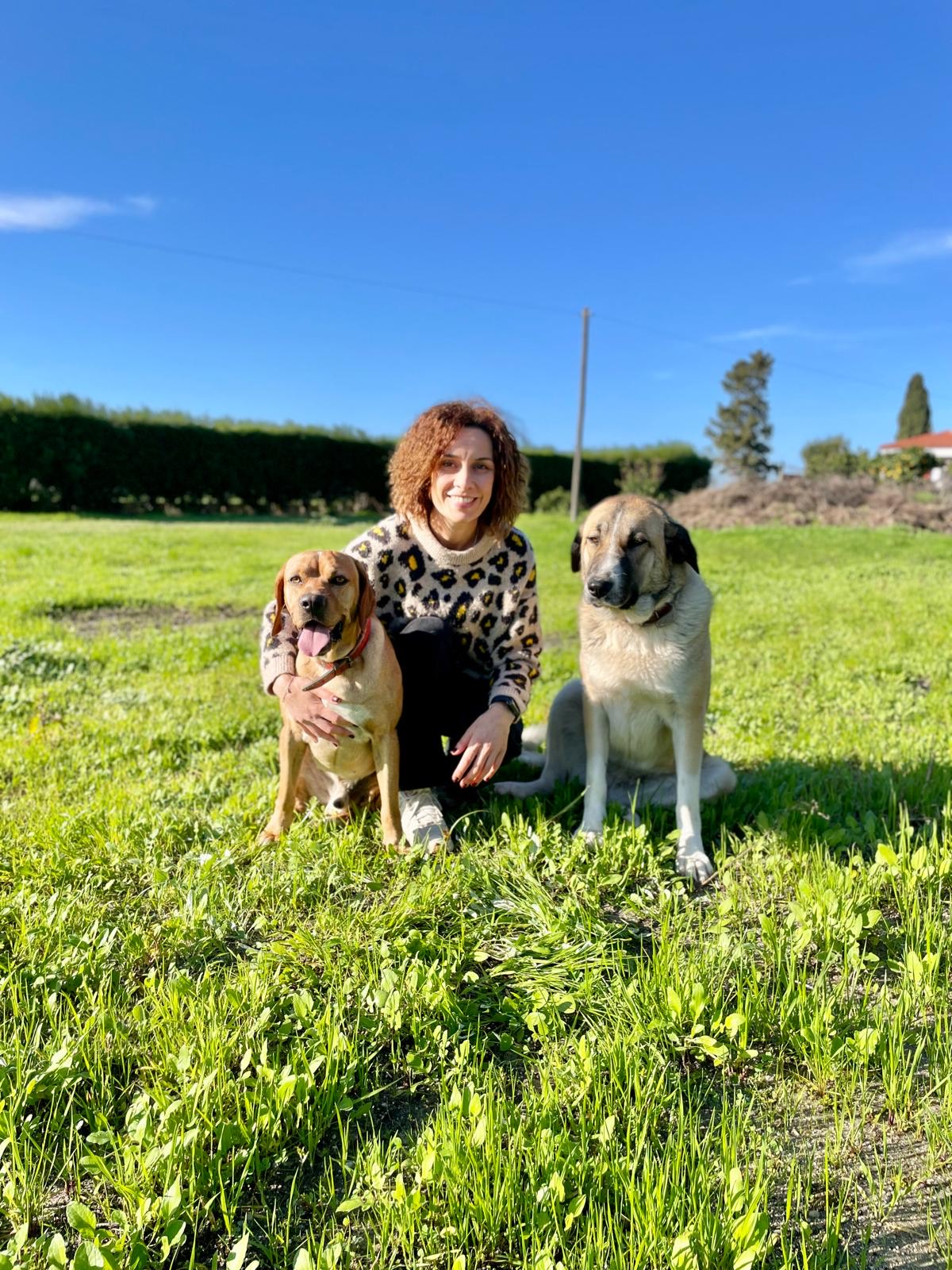 Smartdogs - Montijo - Animal Training and Behavior Modification (Non-canine)