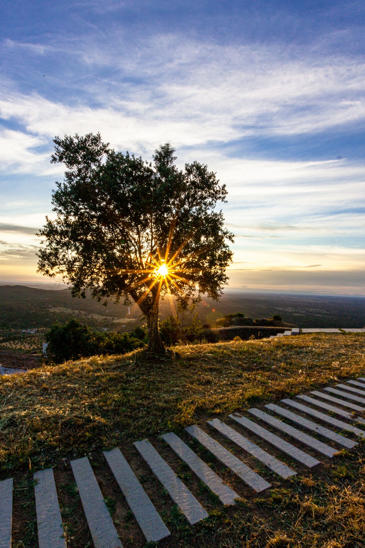 Pedro Manuel Ramalho Perdigão - Estremoz - Fotografia de Crianças