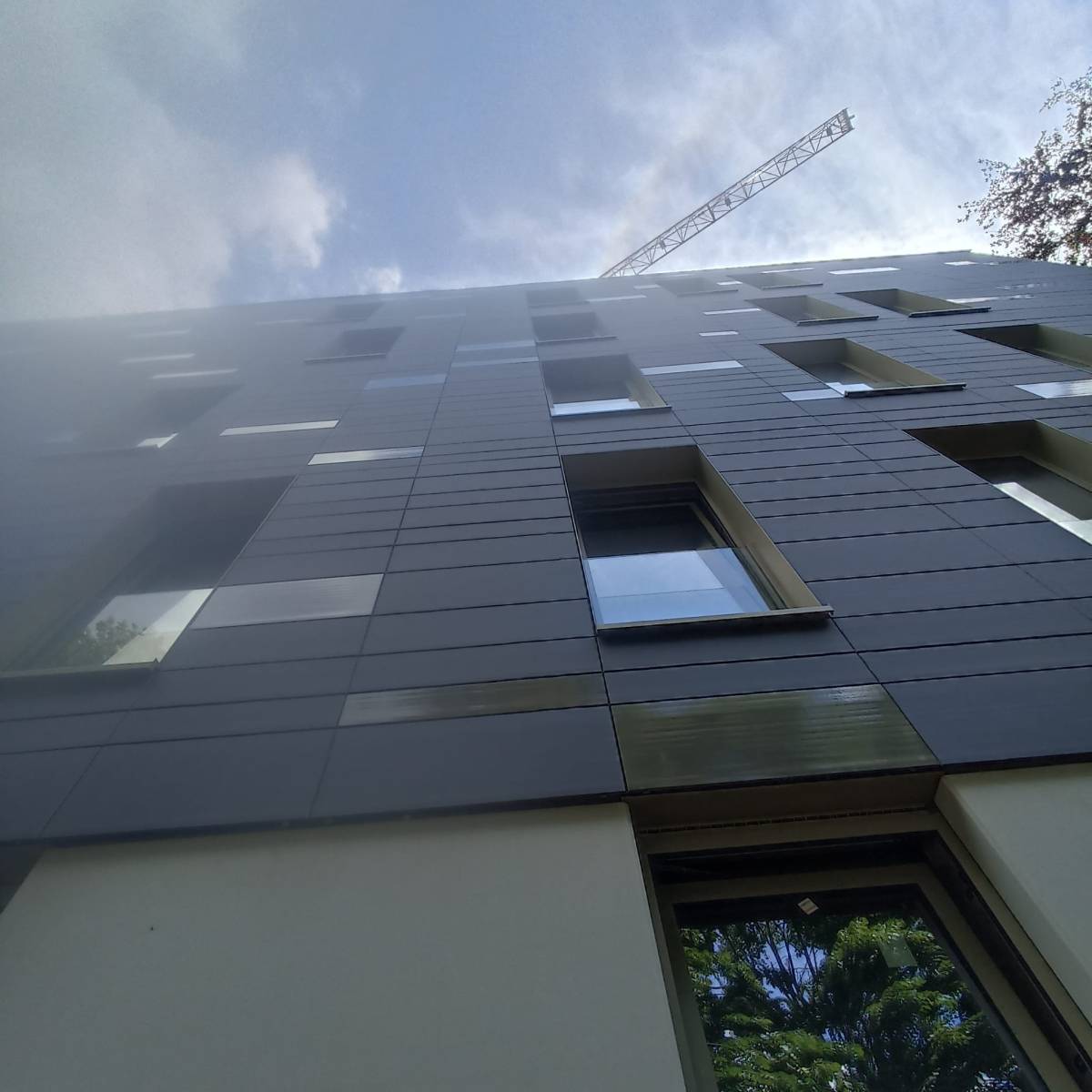 Chagas Construction Company - Amadora - Entfernung von Gebüsch- und Baumaufwuchs