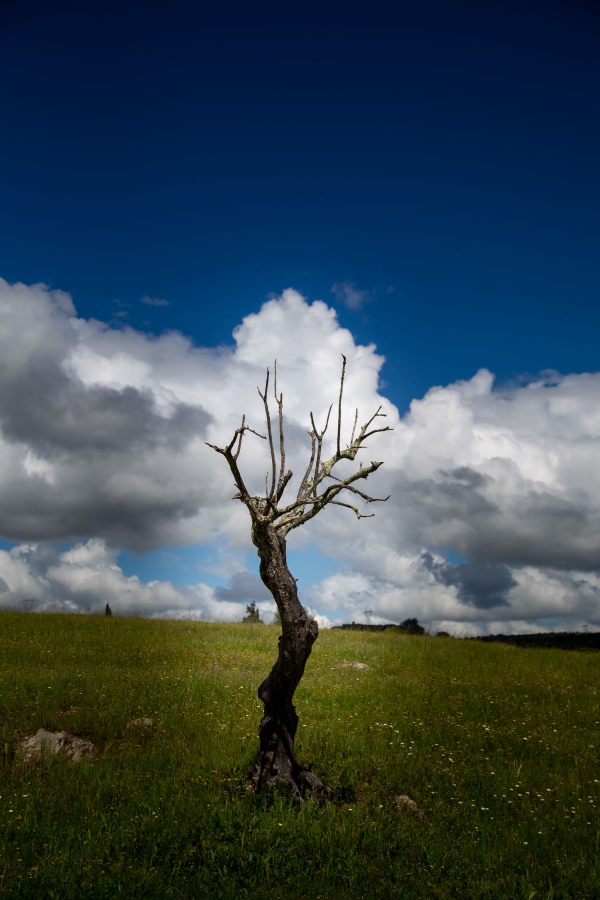 Pedro Manuel Ramalho Perdigão - Estremoz - Fotografia Corporativa