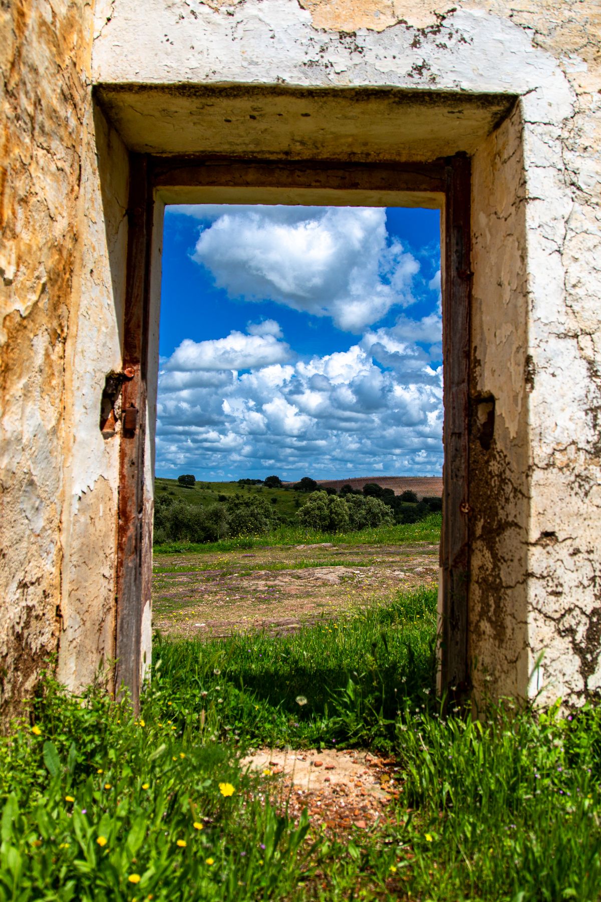 Pedro Manuel Ramalho Perdigão - Estremoz - Fotógrafo