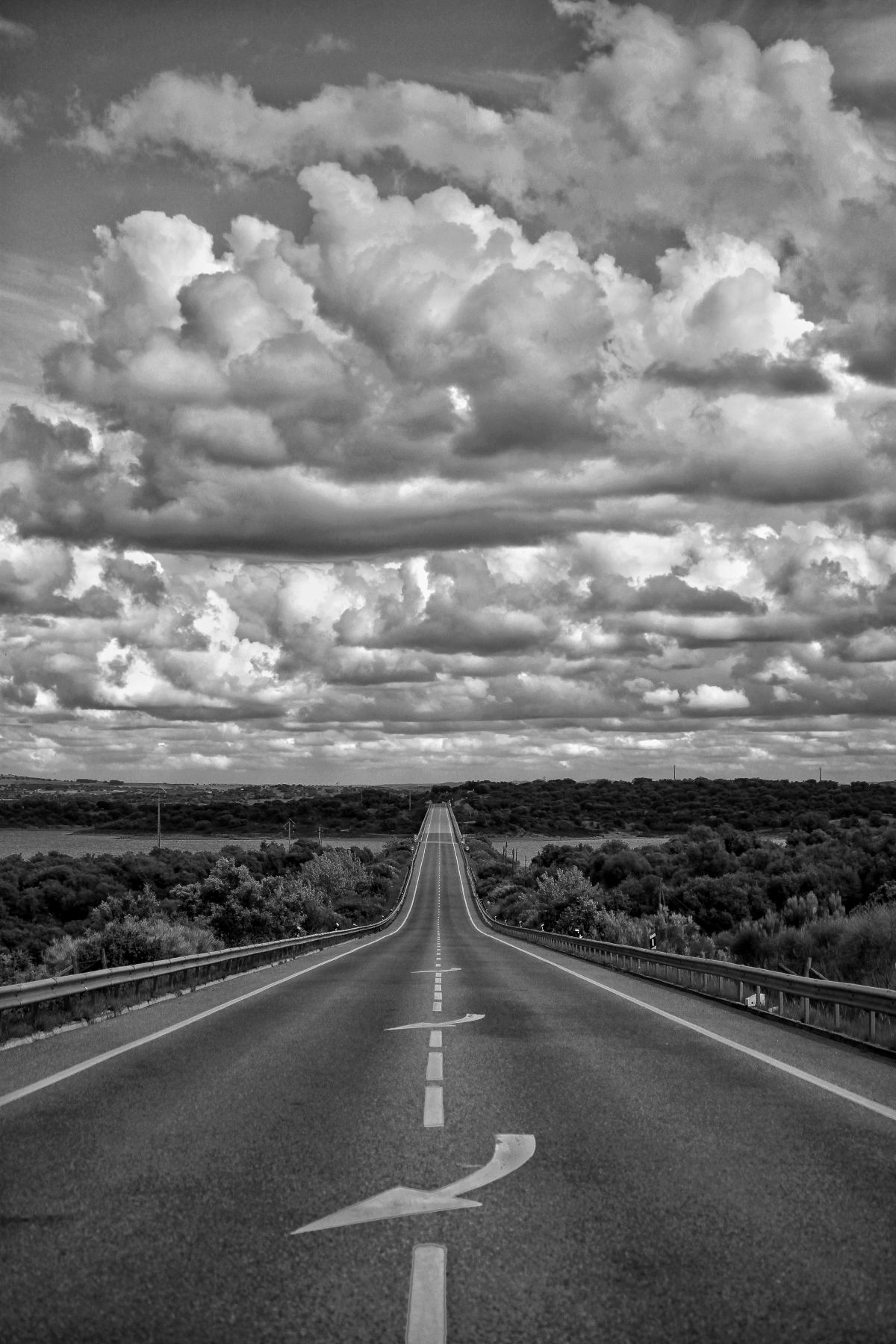 Pedro Manuel Ramalho Perdigão - Estremoz - Fotografía comercial