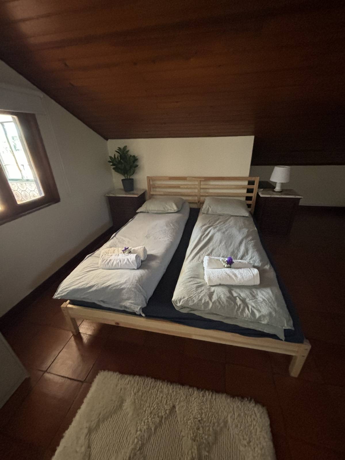 Liliana pinheiro - Arcos de Valdevez - House Cleaning (Recurring)