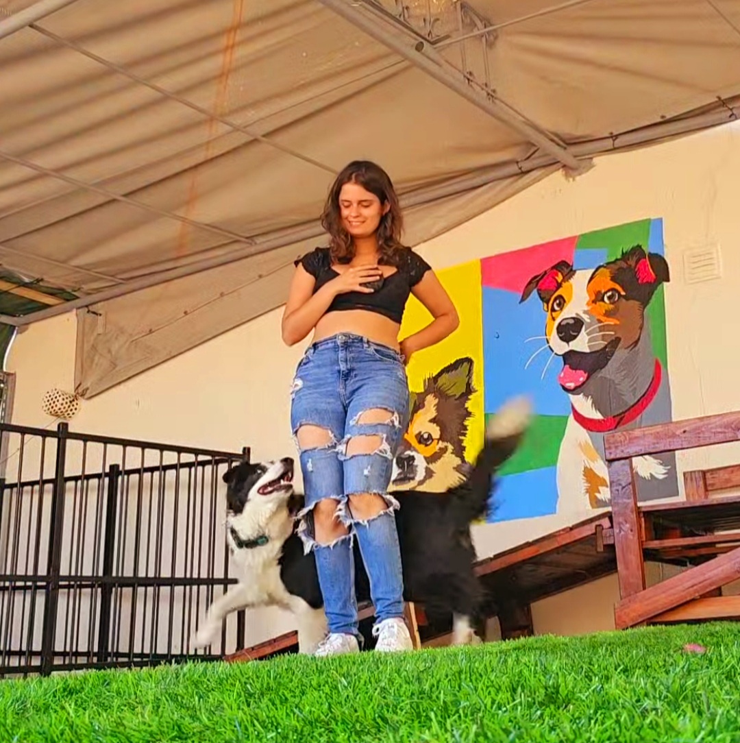 Andreia Galante - PetSitter/DogWalker - Sintra - Hôtel pour animaux de compagnie