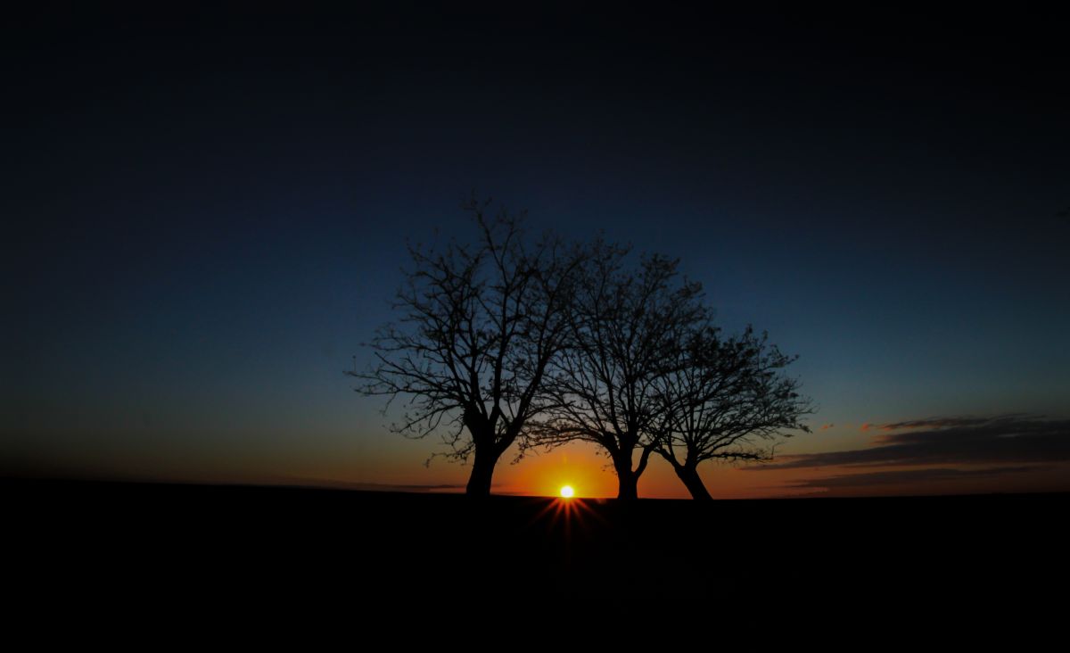 Pedro Manuel Ramalho Perdigão - Estremoz - Fotografia de Imóveis