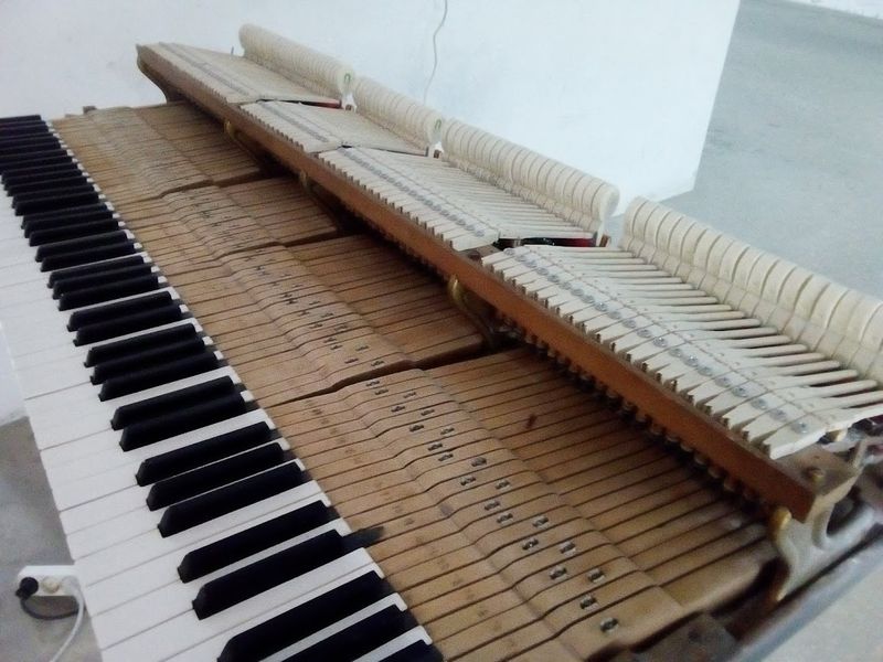Osvaldo Fernandes Afinador de Piano/Piano tuner Algarve - Olhão - Reparação e Assist. Técnica de Equipamentos