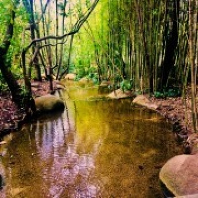 Chapeco - Loures - Fotografia de Casamentos