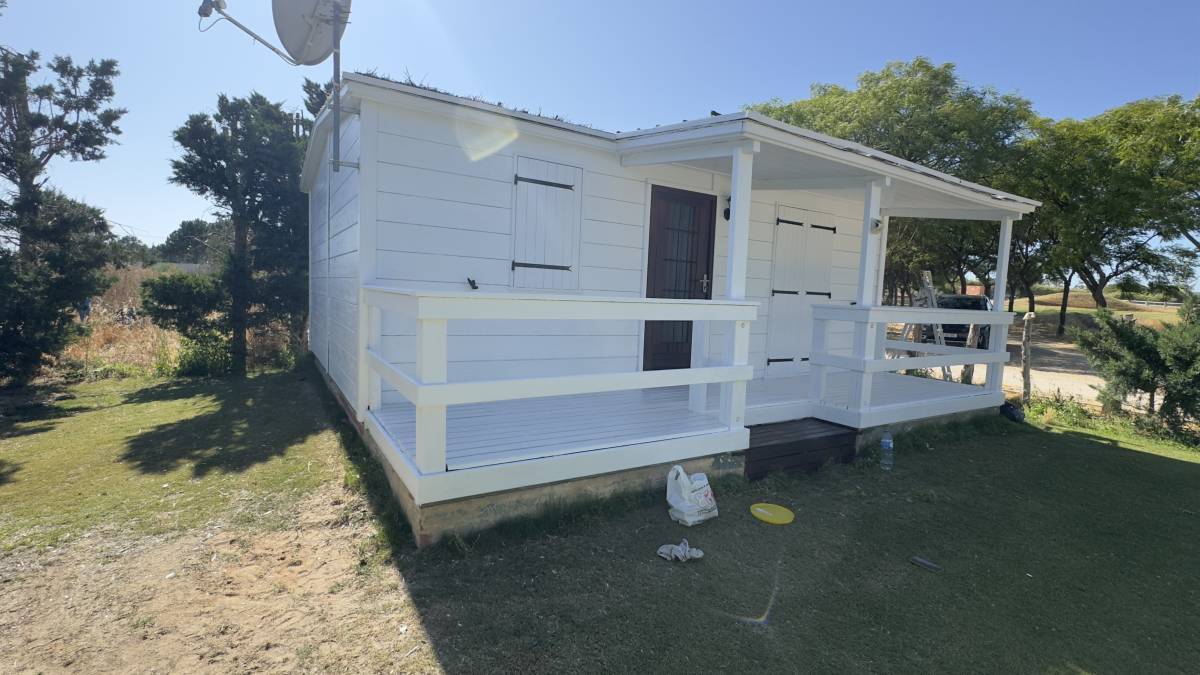 Aliona Pintura - Faro - Pintar puertas