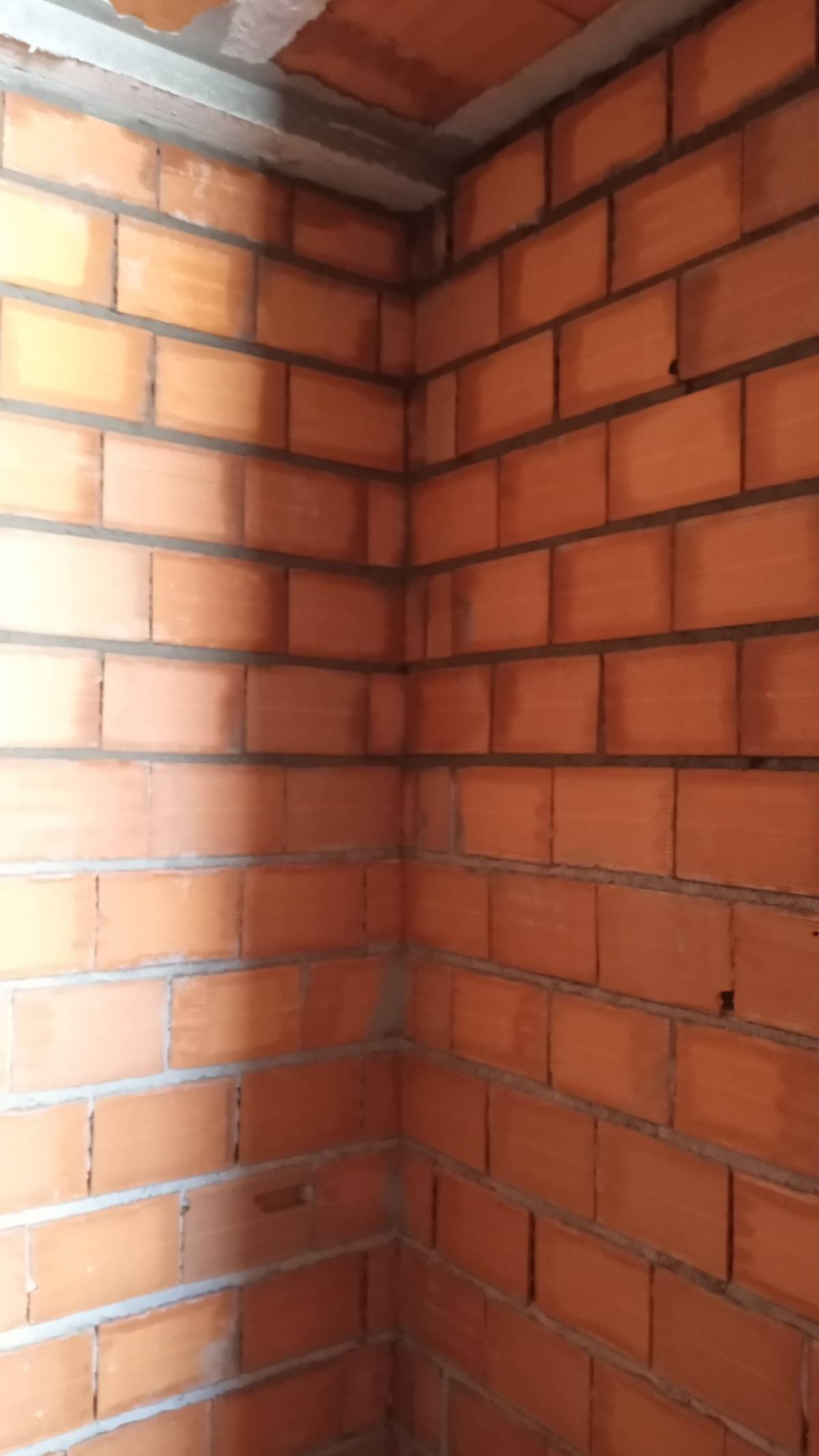 Reginaldo - Guimarães - Waste Removal
