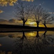 Pedro Manuel Ramalho Perdigão - Estremoz - Fotografia de Bebés