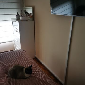 RT Multi - Vila Nova de Gaia - Automação Residencial e Domótica