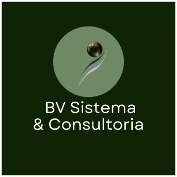 BV Sistema & Consultoria - Figueira da Foz - Statistical Analysis
