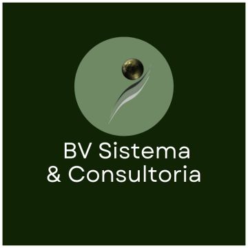 BV Sistema & Consultoria - Figueira da Foz - Análise Estatística