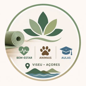Marco Mesquita - Viseu - Self Defense Lessons