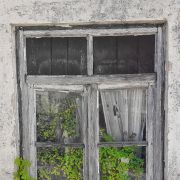 Pedro Manuel Ramalho Perdigão - Estremoz - Fotografía de eventos