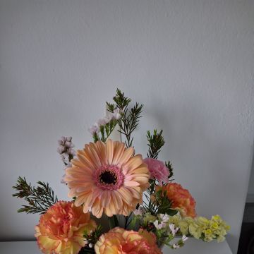Florists - Ana Catarina Oliveira Dias - Shark Bay