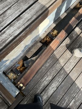 Carpenter - Home Improvements