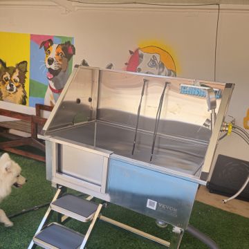 Andreia Galante - PetSitter/DogWalker - Sintra - Pension pour chiens