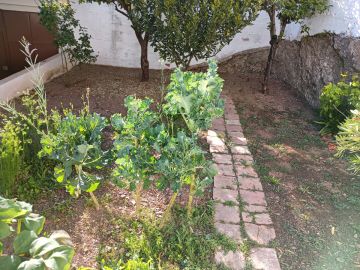 Construtor de Piscinas