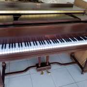 Afinador de Piano/Piano tuner - Algarve  Alentejo e Andaluzia ocidental - El Atazar - Afinación de pianos