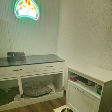 Andreia Galante - PetSitter/DogWalker - Sintra - Pet Hotel