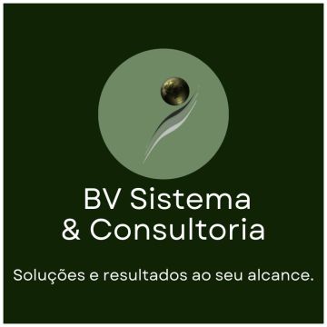 BV Sistema & Consultoria - Figueira da Foz - Financial Services and Planning