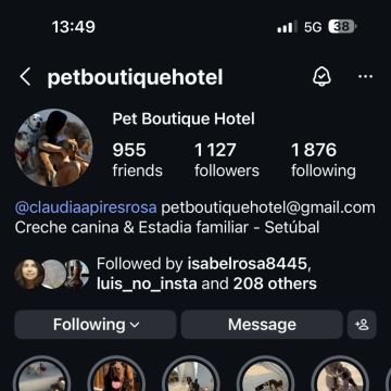 Pet Boutique Hotel - Setúbal - Guardería para perros