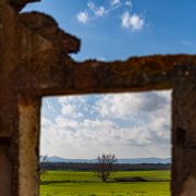Pedro Manuel Ramalho Perdigão - Estremoz - Restauración de fotografías