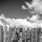 Pedro Manuel Ramalho Perdigão - Estremoz - Sessão Fotográfica