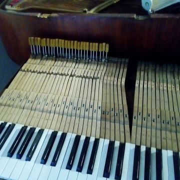 Osvaldo Fernandes Afinador de Piano/Piano tuner Algarve - Olhão - Afinação de Piano