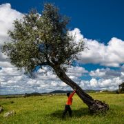 Pedro Manuel Ramalho Perdigão - Estremoz - Fotografía