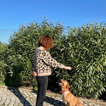 Smartdogs - Montijo - Animal Behavior Modification