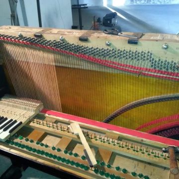 Osvaldo Fernandes Afinador de Piano/Piano tuner Algarve - Olhão - Reparação e Assist. Técnica de Equipamentos