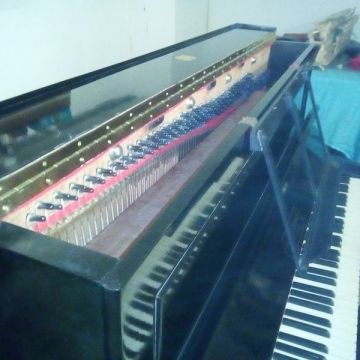 Osvaldo Fernandes Afinador de Piano/Piano tuner Algarve - Olhão - Afinação de Piano