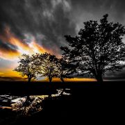 Pedro Manuel Ramalho Perdigão - Estremoz - Fotografia de Casamentos