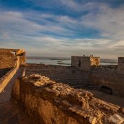 Pedro Manuel Ramalho Perdigão - Estremoz - Digitalização de Fotografias